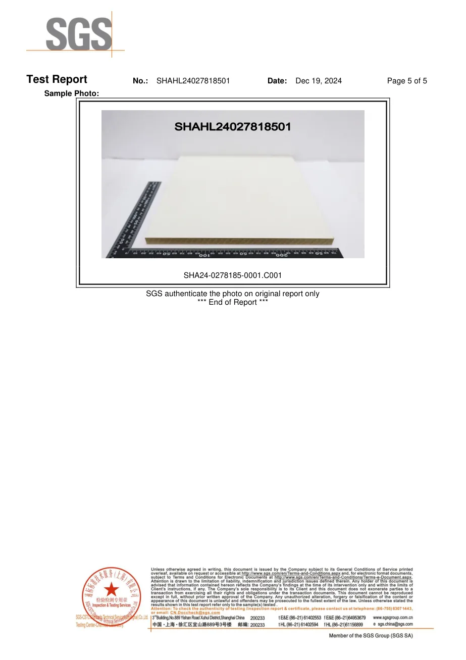 SGS test report preview page 5