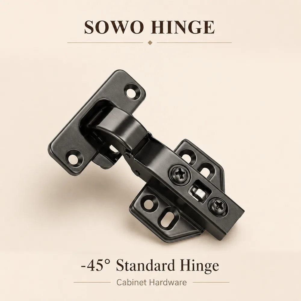 SW-HG-008 cabinet hinge option