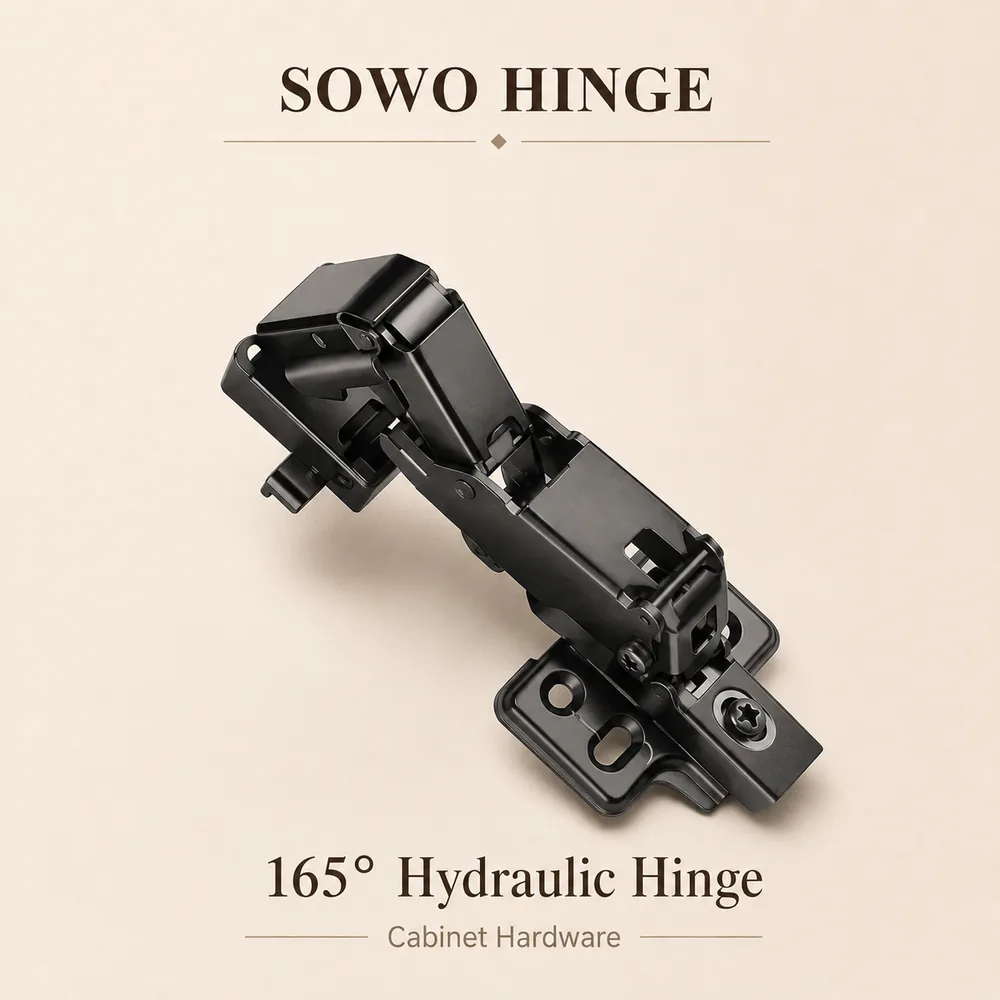 SW-HG-009 cabinet hinge option