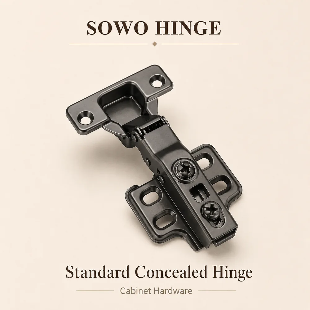 SW-HG-010 cabinet hinge option