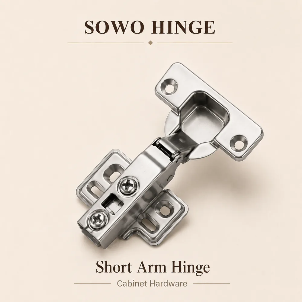 SW-HG-016 cabinet hinge option